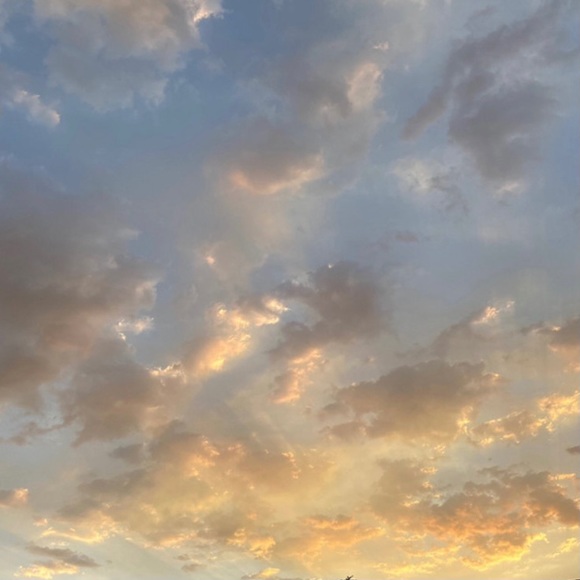 Meet your Posher, A - Picture 1 of 1